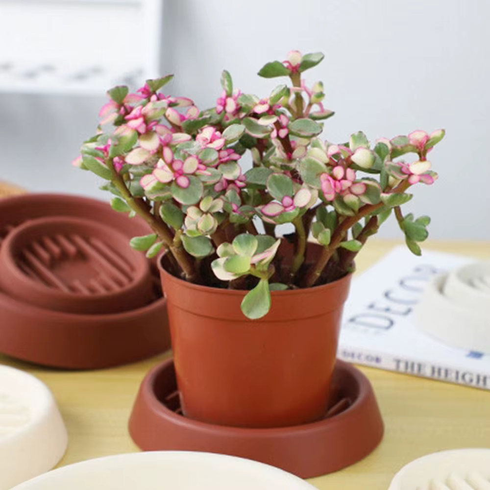 Pot de fleur en plastique pour plantes goutte à goutte