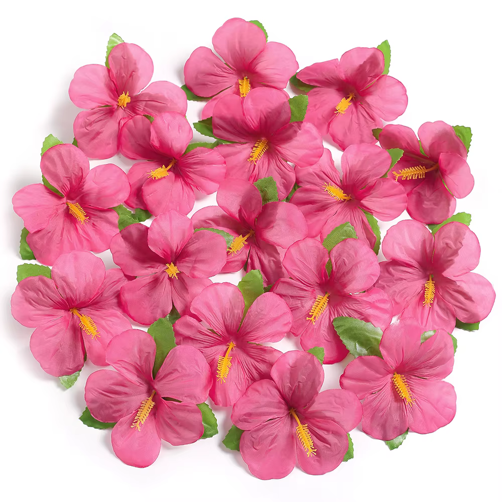 Fleurs d'hibiscus colorées hawaïennes