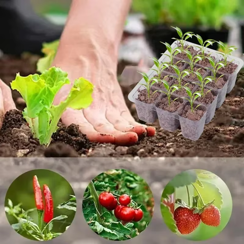 Plateau de culture de plantes