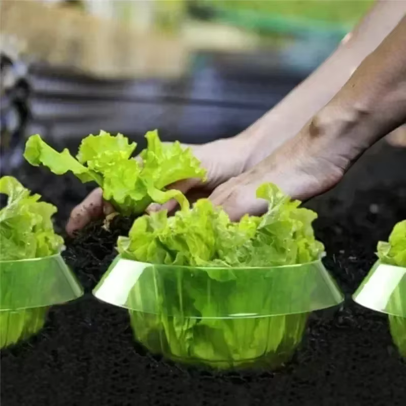 Plantes limace Protection anneaux légumes couverture plante escargot collier garde vert planteur Pot de fleur lutte antiparasitaire trappeur outil de jardin