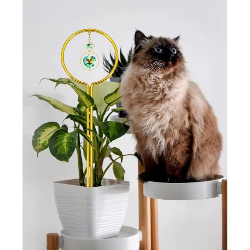 Support pour plantes durable