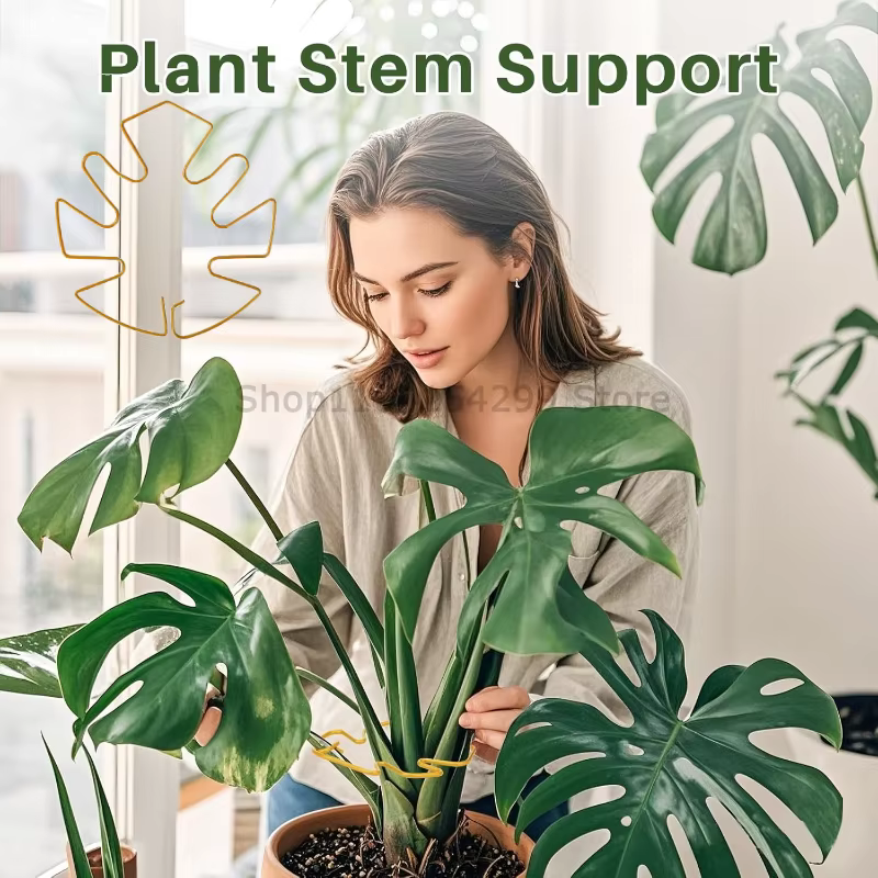 Supports de plantes réglables en métal pour tutorer les plantes
