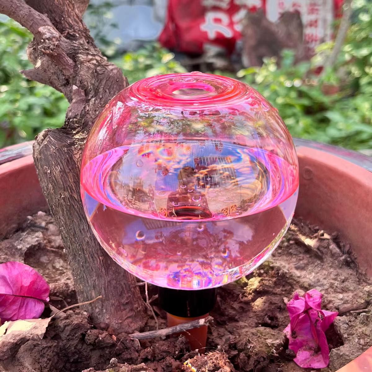 2 boules d'arrosage automatiques pour plantes