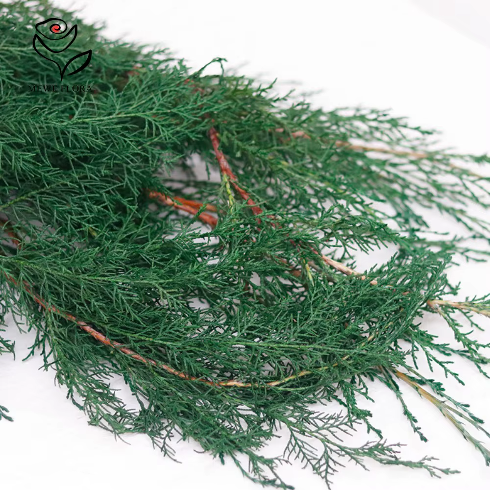 Fleurs Éternelles vaccées pour Arbre de Noël