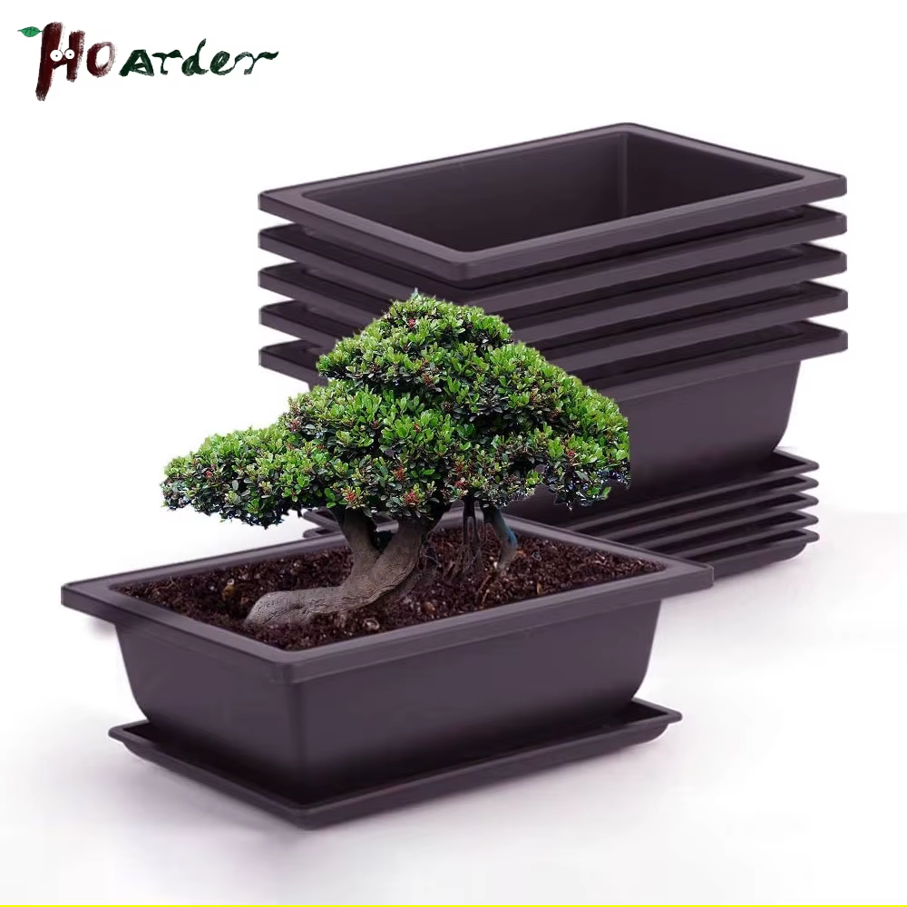 Pots d'entraînement avec plateau en plastique pour plantes bonsaï