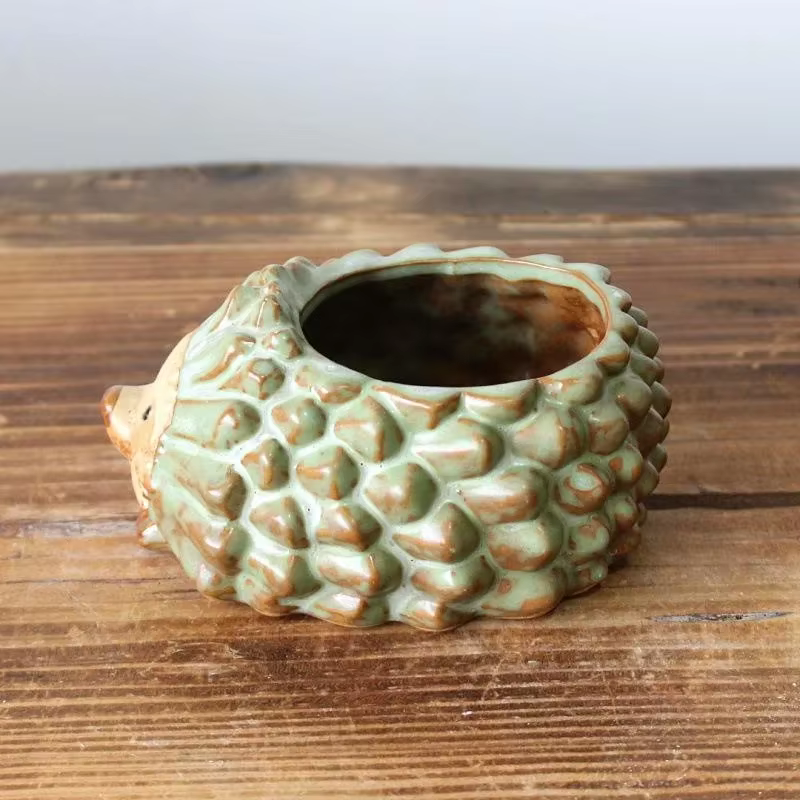 Pot de plantes succulentes en céramique
