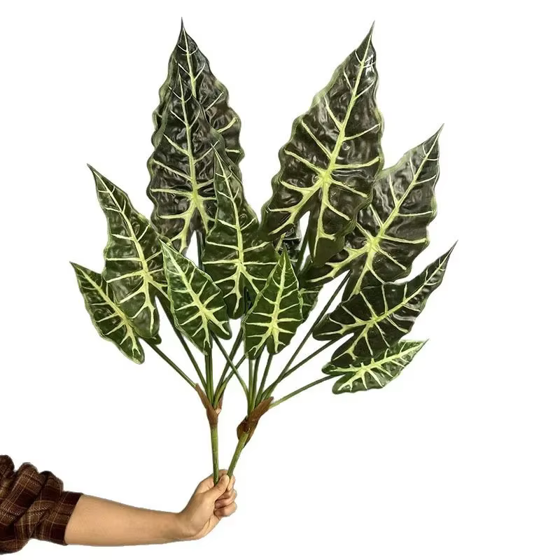 Simulation de plantes vertes Taro Levesf