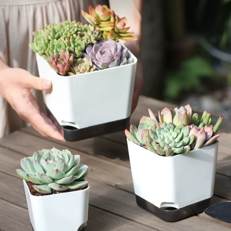 Pots de plantes 5 pièces