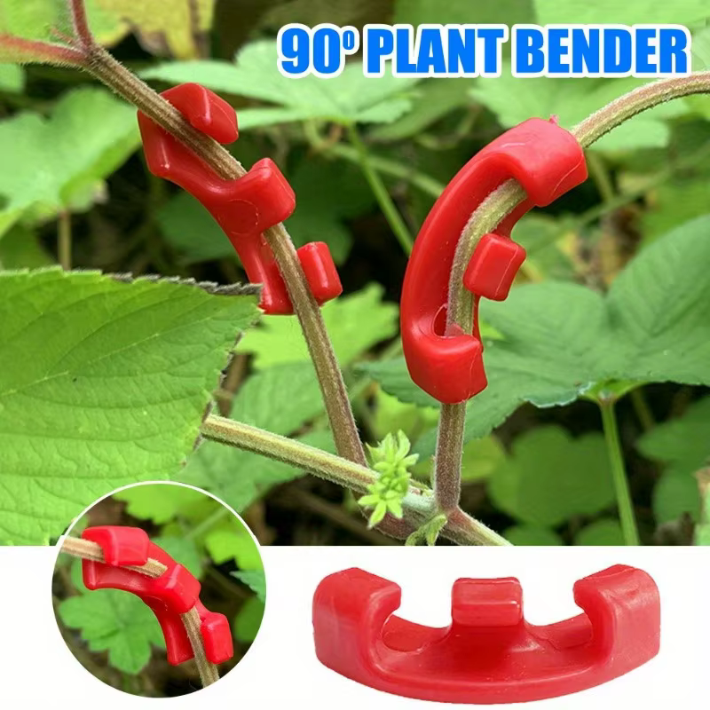 50 pinces de pliage pour plantes