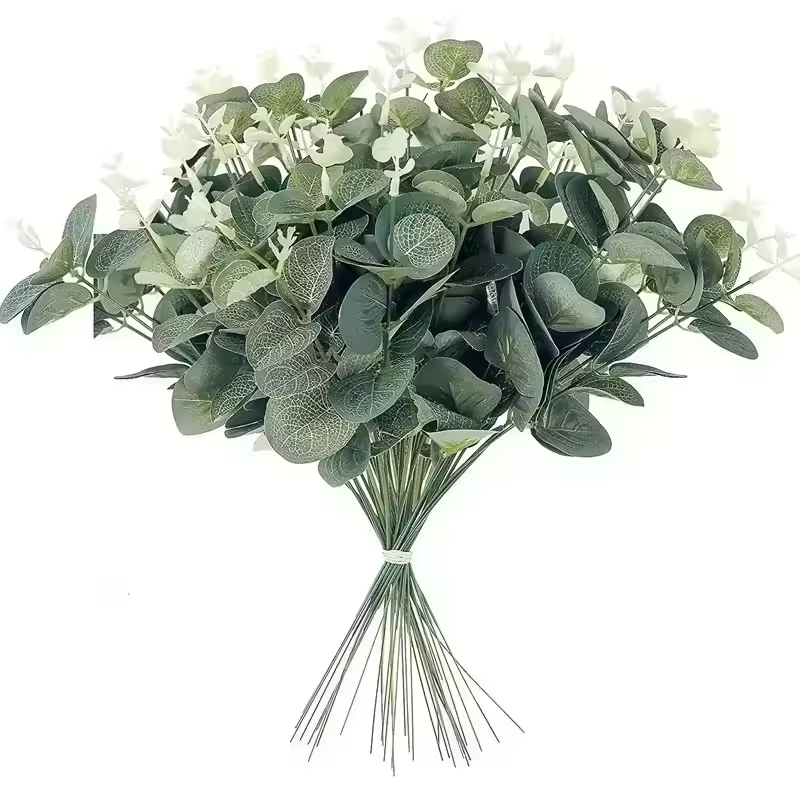 10 tiges de feuilles d'eucalyptus vertes