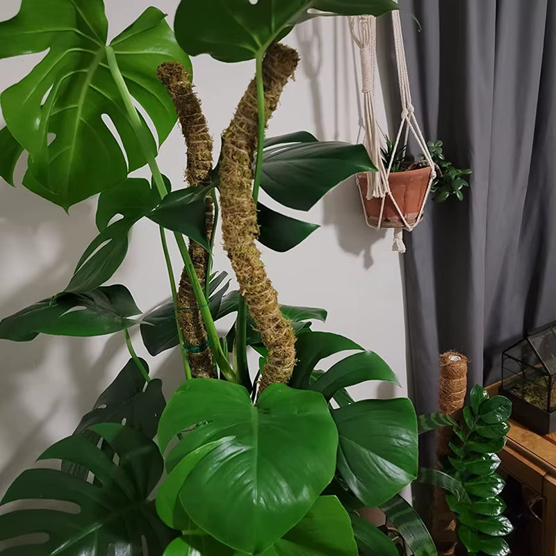 Support de Plantes en Fibre de Coco Flexible pour Trepieds