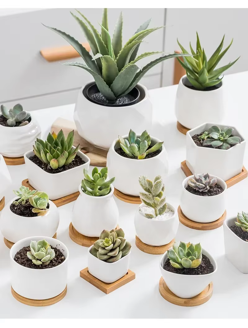 Mini pot à plantes en bambou T1