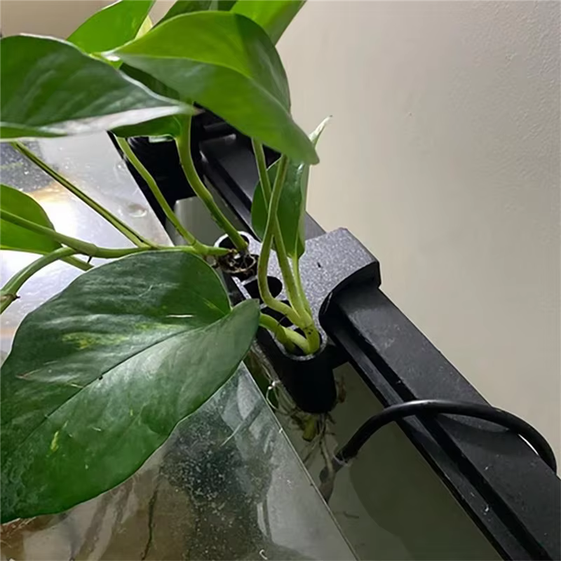 Support de plante d'aquarium suspendu Pot