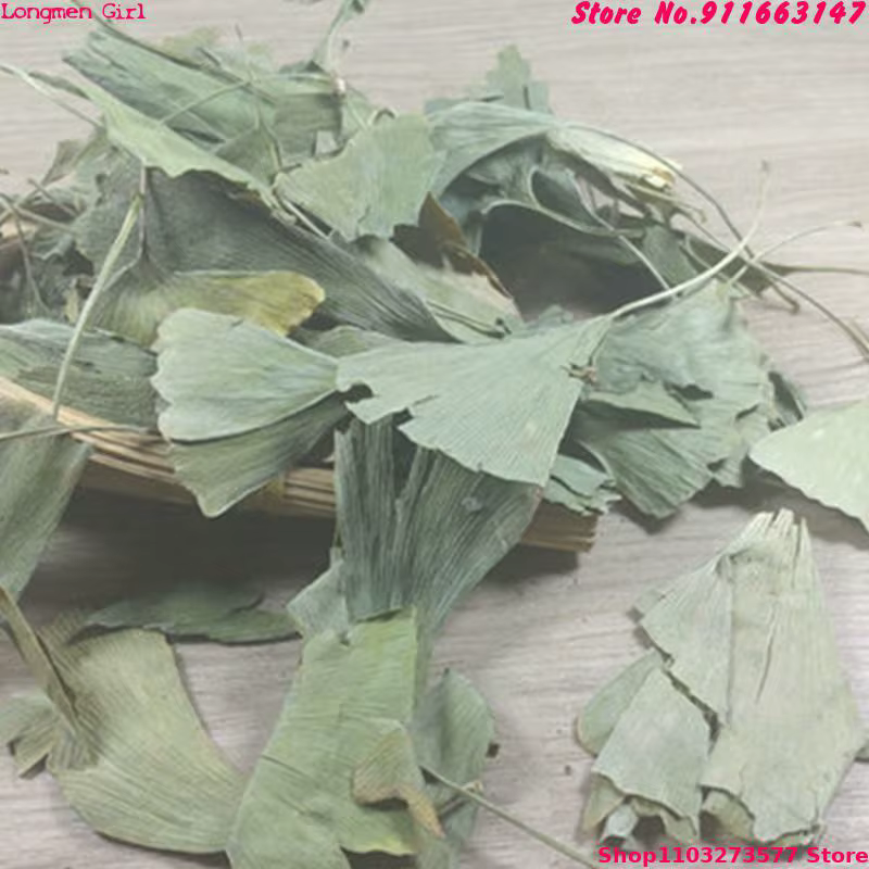 Feuilles séchées de Ginkgo Biloba de haute qualité