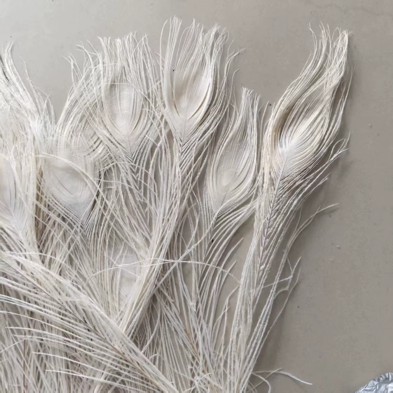 Vente en gros! Belles plumes d'oeil de paon blanc