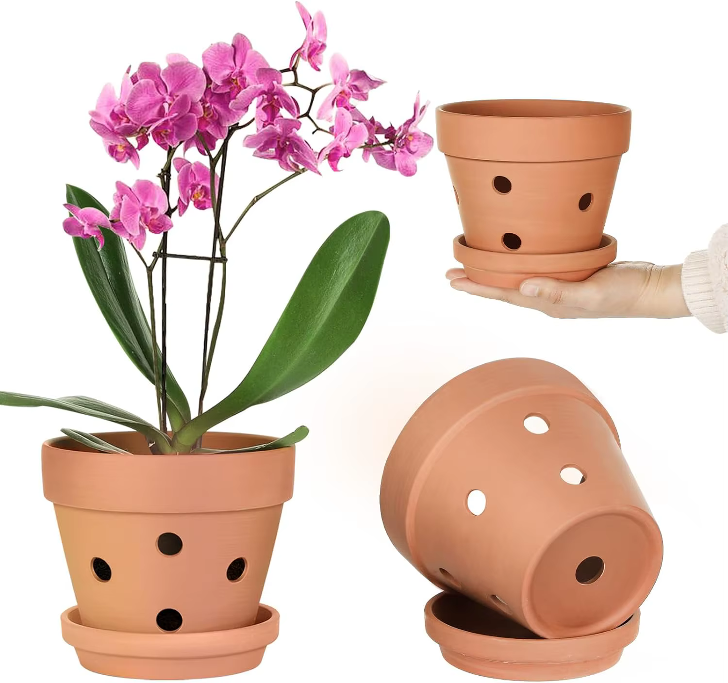 6 pots à orchidées en terre cuite de 4 pouces avec trous et soucoupes - Petits