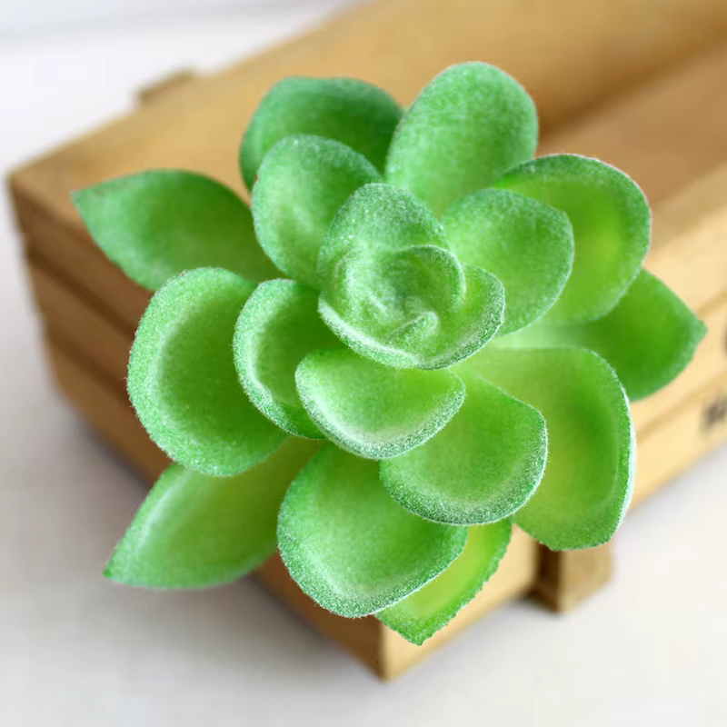 Plante succulente artificielle en plastique