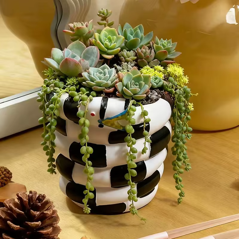Pot de fleurs en spirale créatif