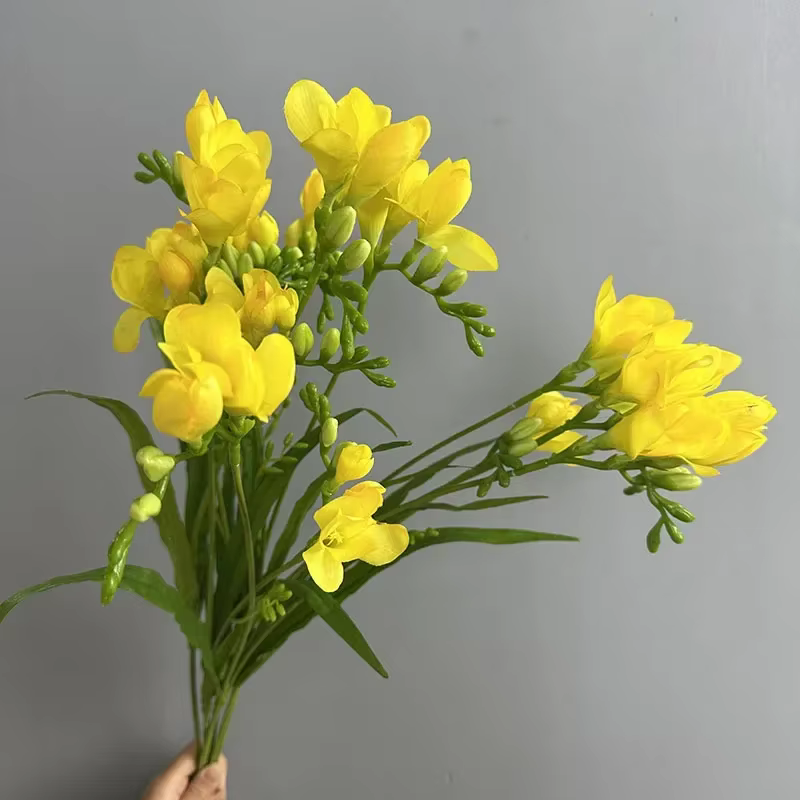 Simulation de Branches de Freesia