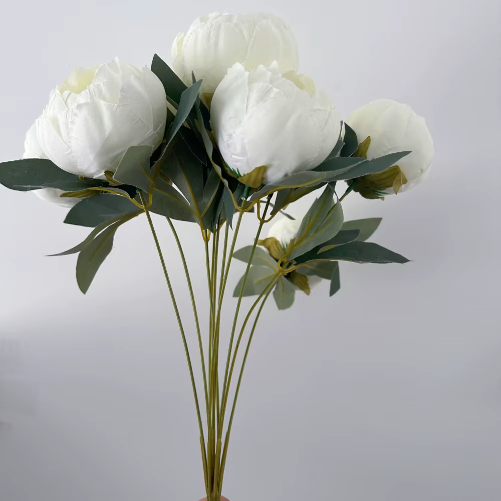 Pivoine blanche avec boutons de fleurs