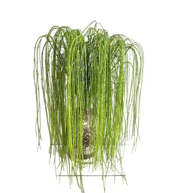 Simulation de plantes de saules pleureurs