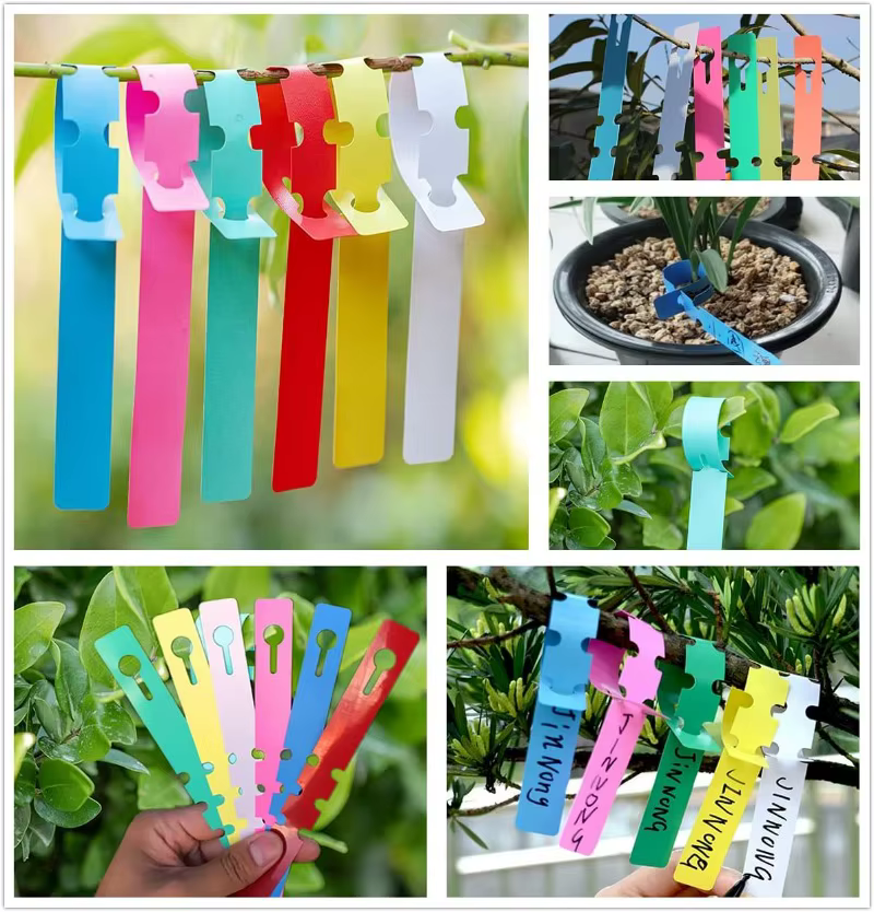 Étiquettes de plantes imperméables en PVC
