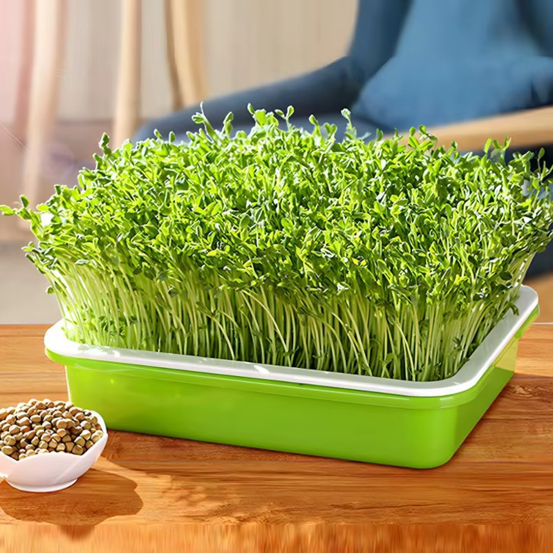 Plateau de Germination Pot de graines de plantes jardin Double couche Arc système de culture hydroponique sans sol Pots de semis accessoires de jardinage