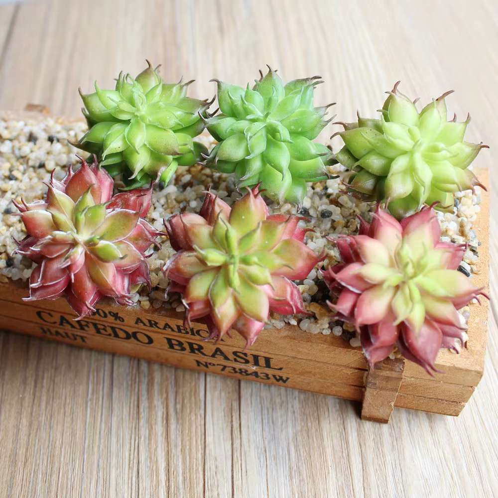 Mini plantes succulentes artificielles Lotus