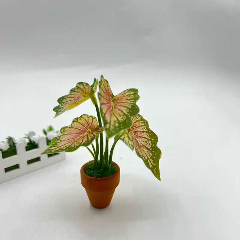 Plantes vertes pour maison de poupée