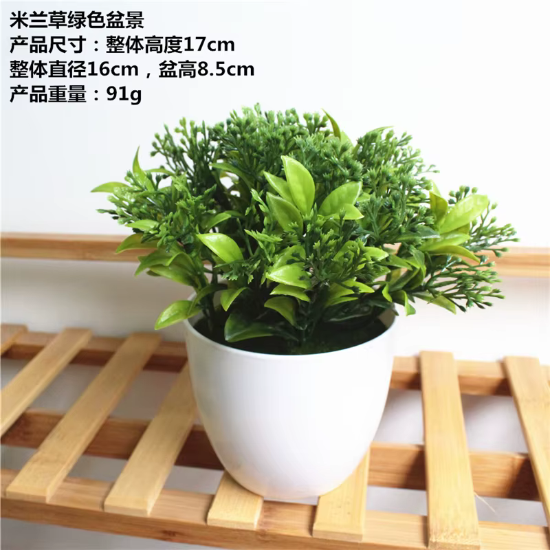 1 ensemble de plantes artificielles simulées succulentes herbe de Milan bonsaï en plastique blanc Pot de fleur accessoires de décoration pour la maison
