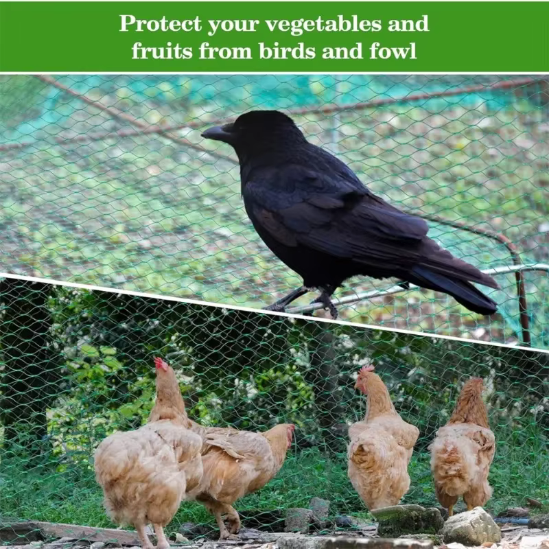 Filet anti-oiseaux pour jardin