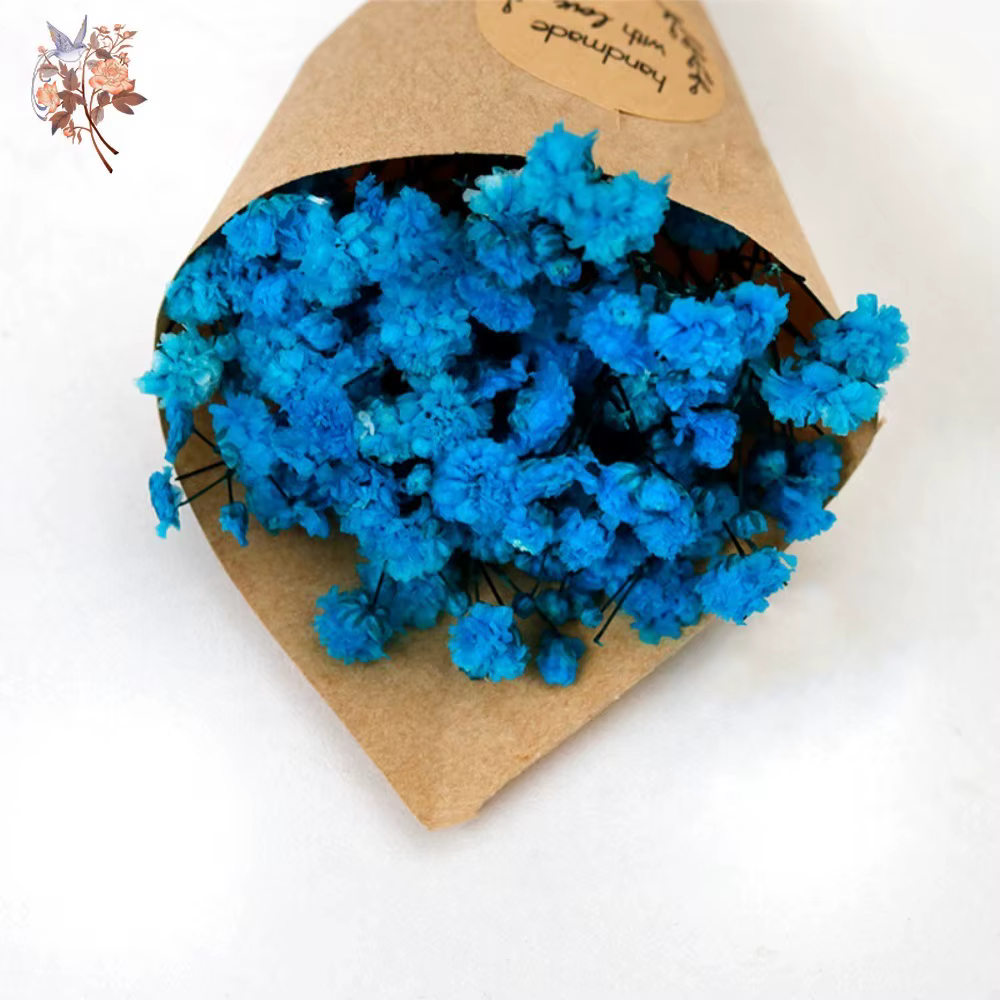 Fleurs séchées éternelles Gypsophila Mini Bouquet boîte-cadeau Souvenir mariage boutonnière Corsage véritable souffle de bébé décoration de voiture à la maison