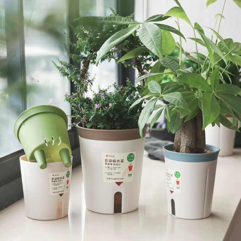 Pots de plantes à arrosage automatique