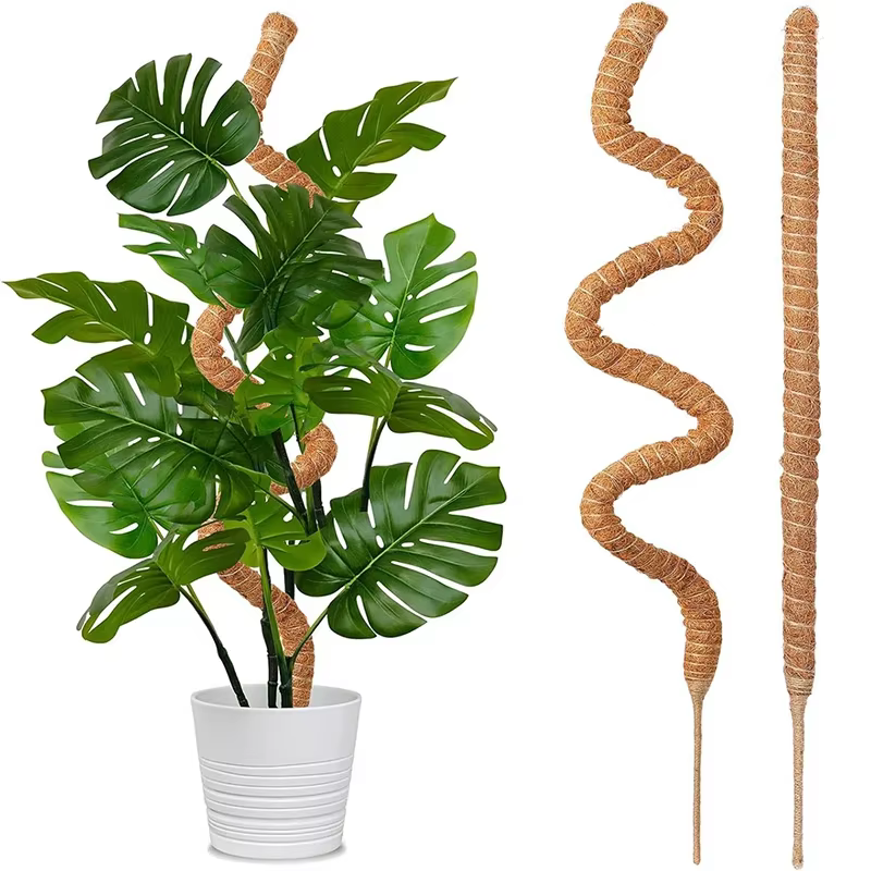 Échafaudage de plantes déformables