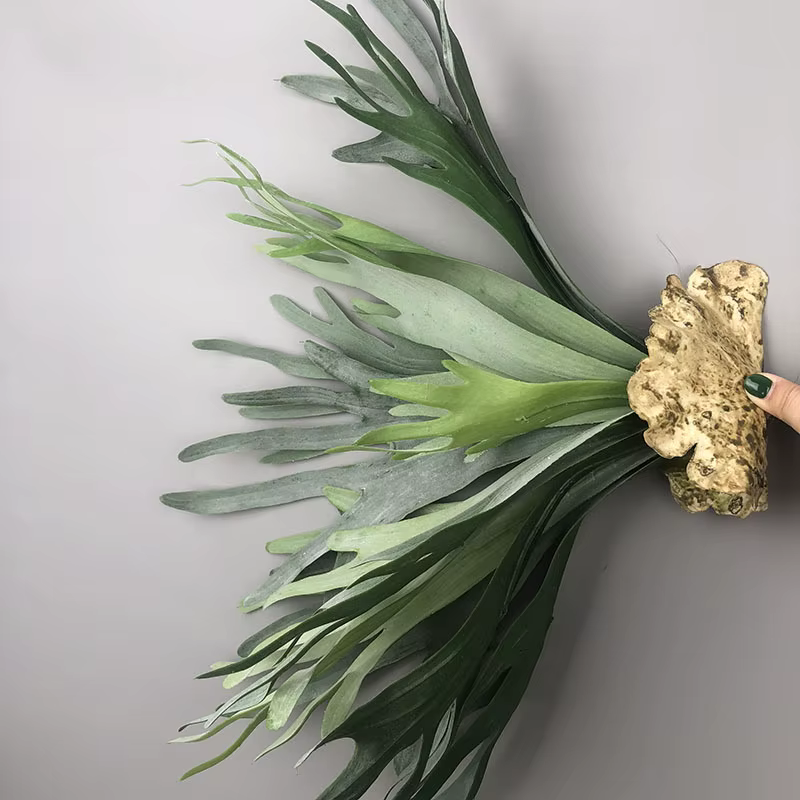 Nouvelles feuilles de bois de cerf artificielles Pteridophyte
