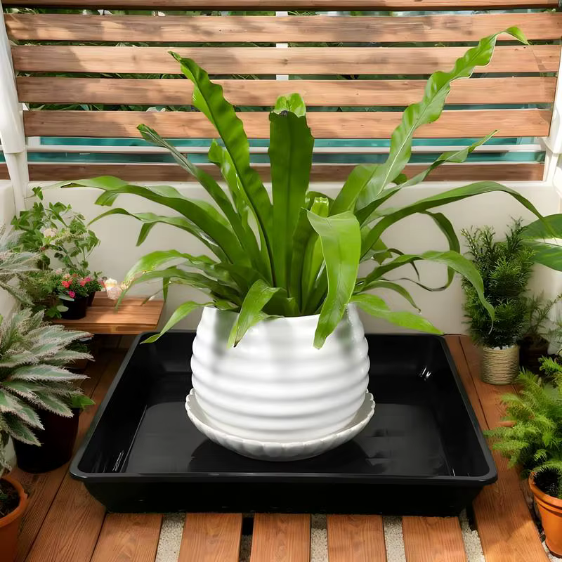 Soucoupe à plantes carrée