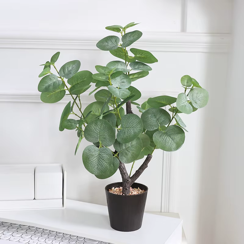 1 arbre de simulation de plante