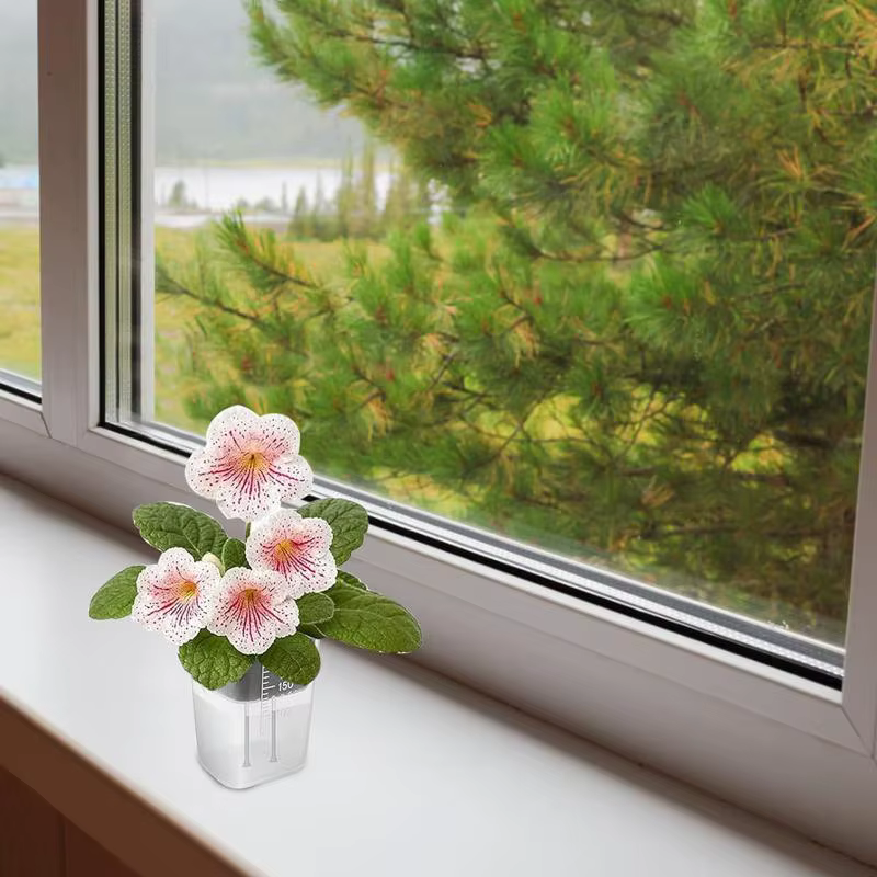 5 pots de plantes auto-arrosants