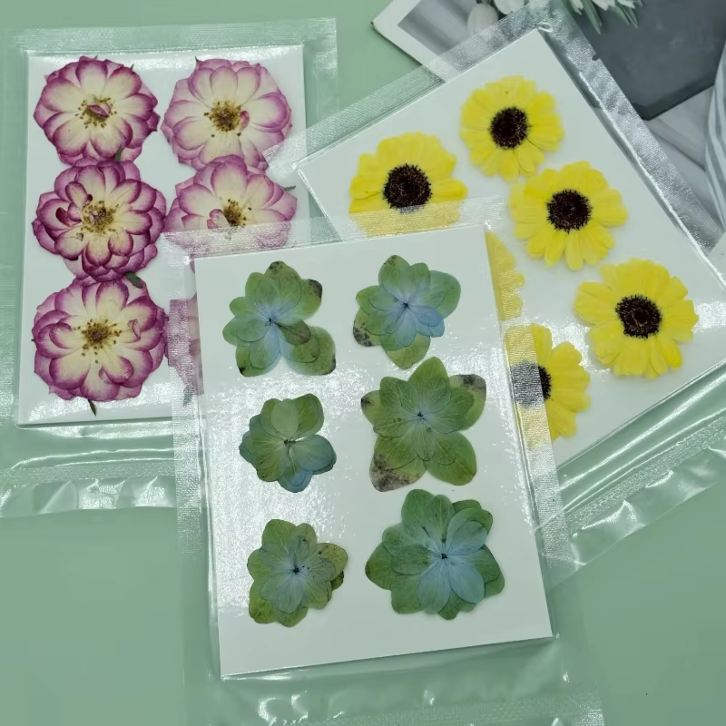 6 pièces, sac de fleurs sèches naturelles