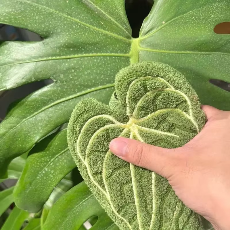 Serviettes lavables transparentes imprimées de plantes