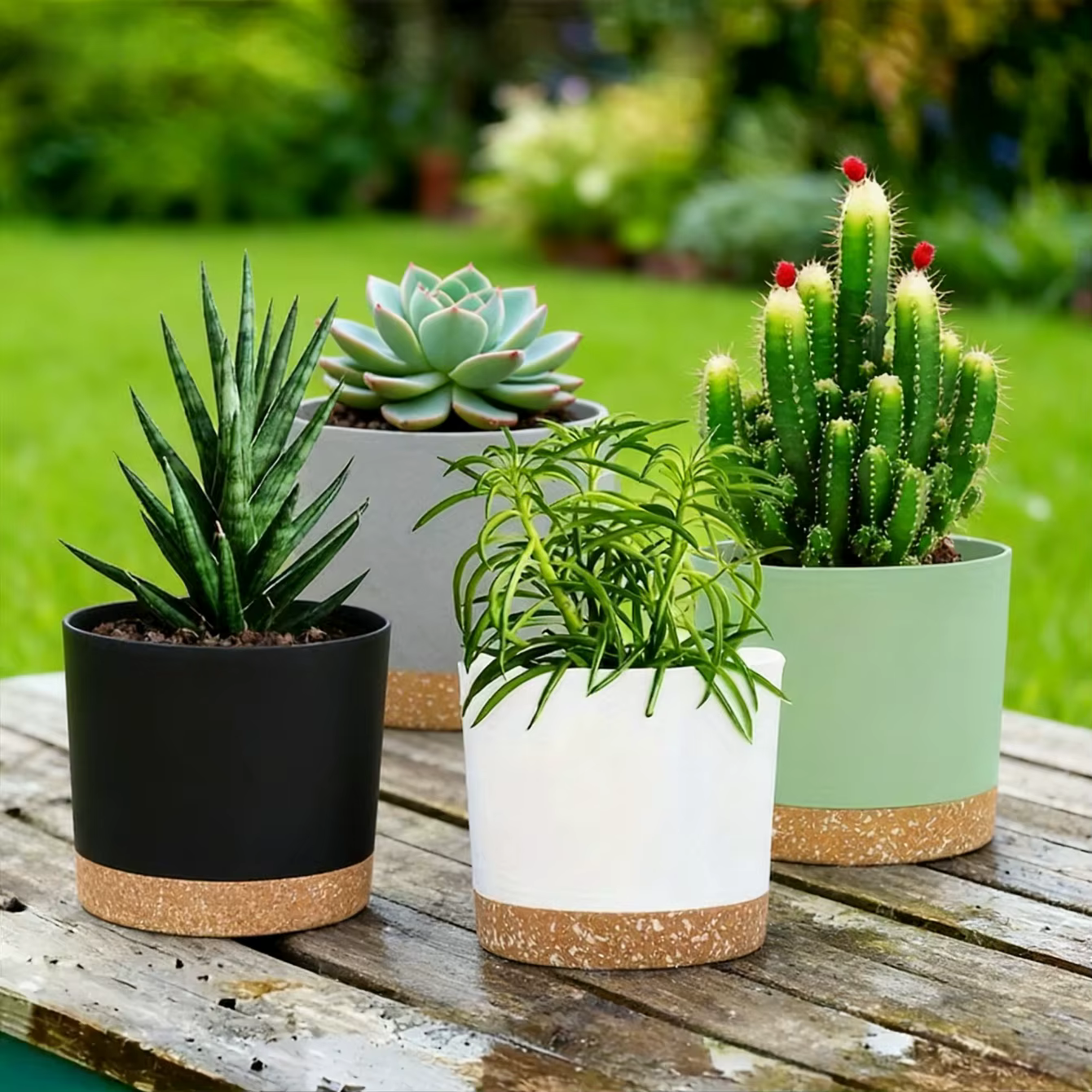 Paquet de 2, jardinières pour plantes d'intérieur avec trous de drainage et base amovible