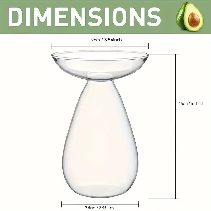 Vase hydroponique transparent coloré pour avocat