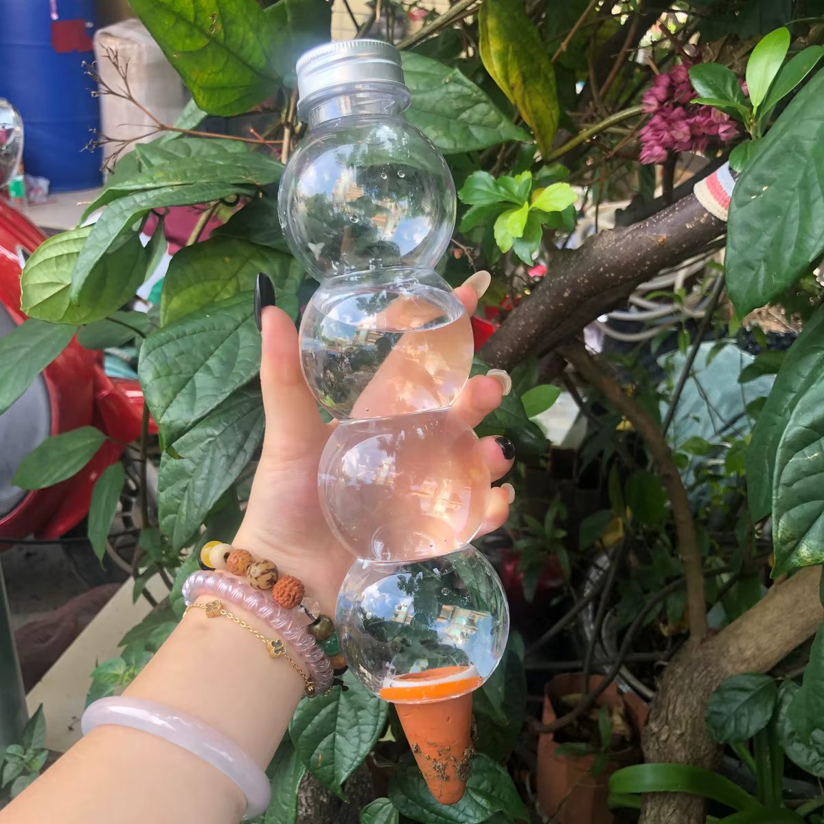 Système d'arrosage automatique pour plantes