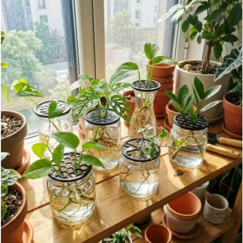 Plateaux de démarrage pour plantes en plastique
