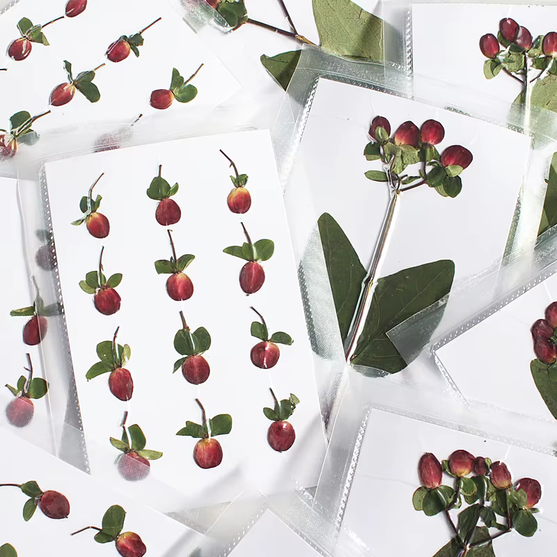 Nouvelle branche Premium couleur originale pressée perle de Dragon de feu fleurs séchées cadre Photo bricolage décoration de noël fournitures artisanales