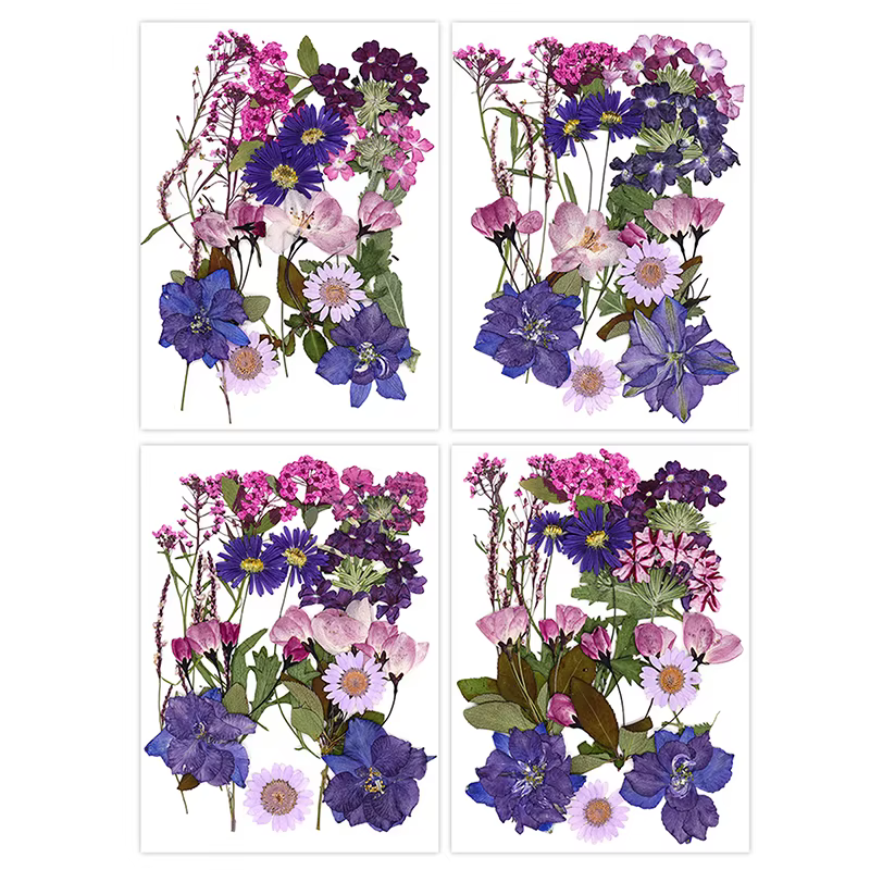 Fleurs séchées véritable plante naturelle pressée fleur pour résine époxy remplissage bricolage Nail Art artisanat