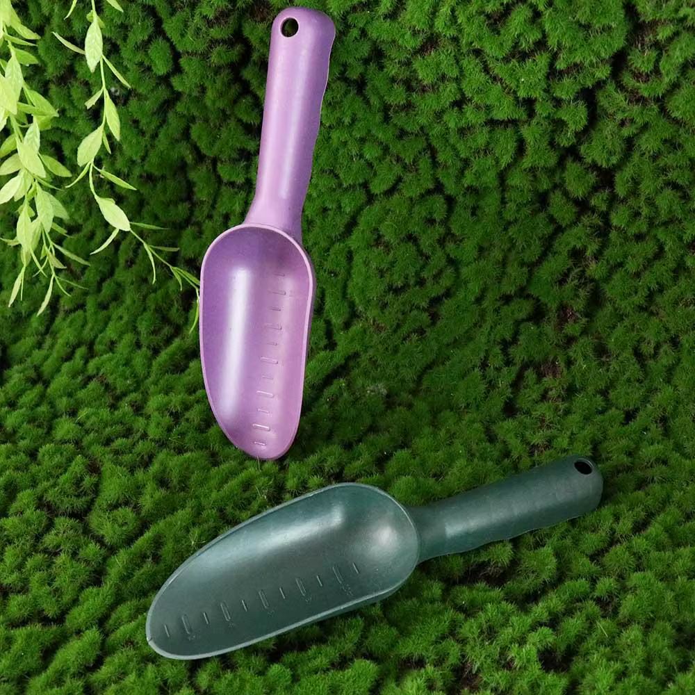 Outil de jardinage en plastique pour plantes succulentes