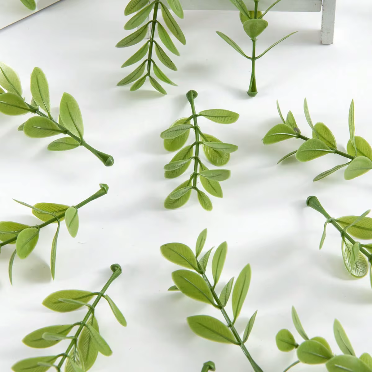 Feuilles d'olivier imulées