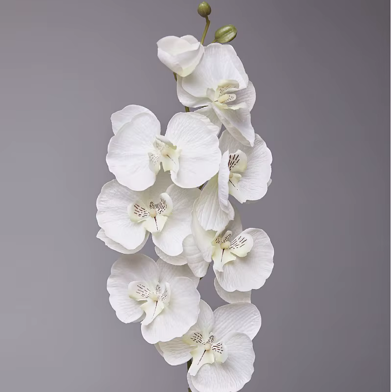 Fleurs d'orchidées papillon artificielles