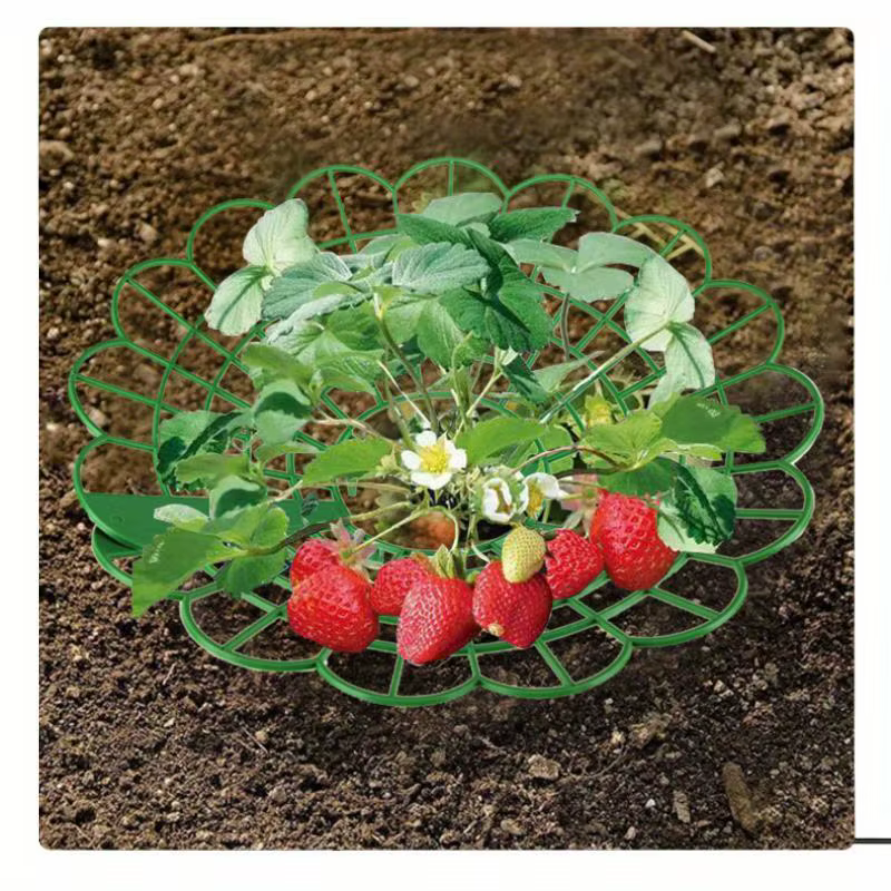 Supports pour plantes à fraises avec trois pieds robustes